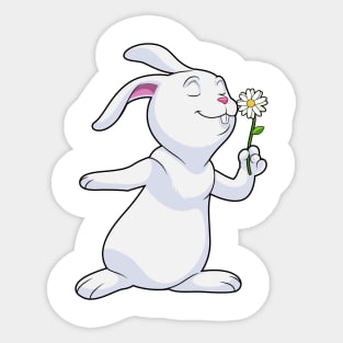 Rabbit with Daisy Sticker